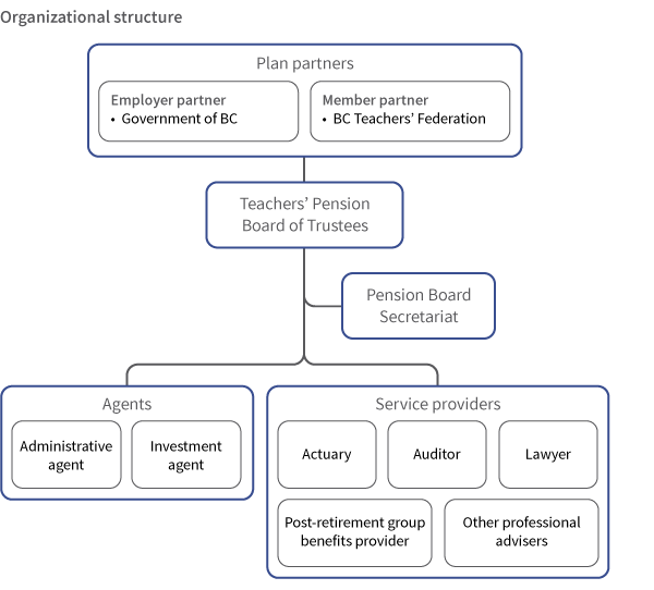 Organizational structure of the plan